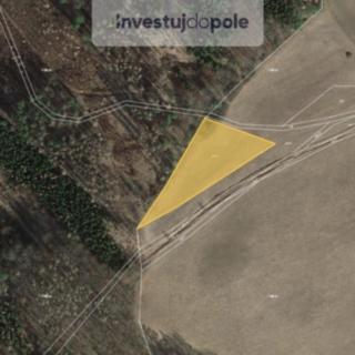 Prodej zemědělské půdy 3565 m&sup2; Hracholusky