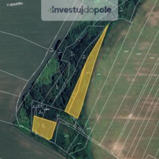 Prodej zemědělské půdy 3546 m&sup2; Plaňany