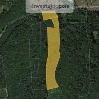 Prodej lesa 21494 m² Všemina