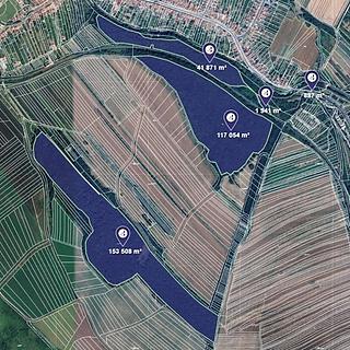 Prodej lesa 5254 m&sup2; Louka