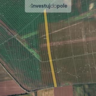 Prodej zemědělské půdy 8042 m&sup2; Břeclav