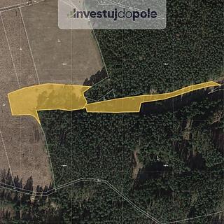 Prodej louky 17635 m&sup2; Planá