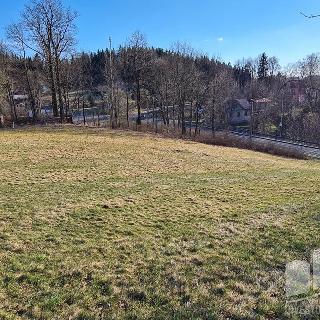 Prodej stavební parcely 3 213 m² Lučany nad Nisou