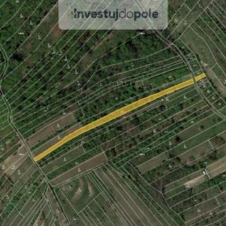 Prodej louky 1 554 m² Kobylí