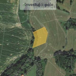 Prodej podílu zemědělské půdy 4301 m² Neurazy