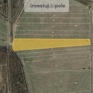 Prodej louky 8164 m² Dříteň