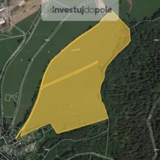 Prodej louky 24718 m&sup2; Výsluní