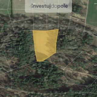 Prodej louky 6 305 m² Netvořice Maskovice
