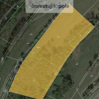 Prodej louky 11 850 m² Semily