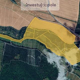 Prodej louky 1668 m&sup2; Částkov