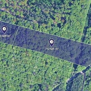 Prodej lesa 8008 m² Brno