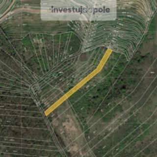 Prodej zemědělské půdy 1770 m&sup2; Hustopeče