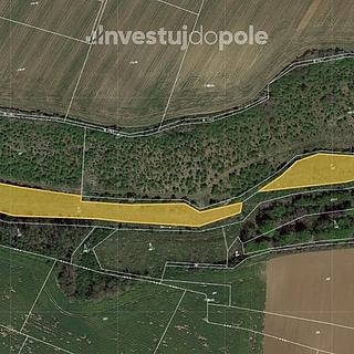 Prodej louky 7967 m&sup2; Horky nad Jizerou