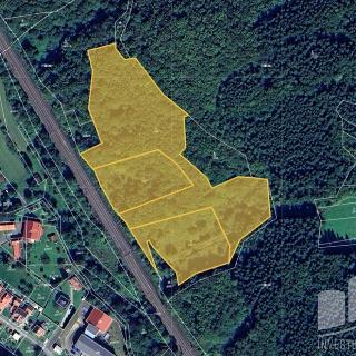 Prodej lesa 17 809 m² Lužná