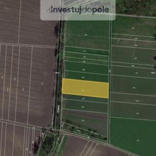 Prodej zemědělské půdy 2963 m&sup2; Sokolnice