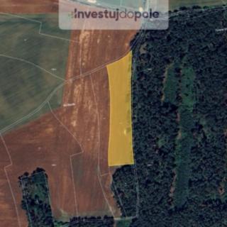 Prodej zemědělské půdy 4 796 m² Kropáčova Vrutice Kojovice