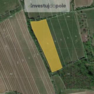 Prodej louky 8391 m&sup2; Horní Věstonice