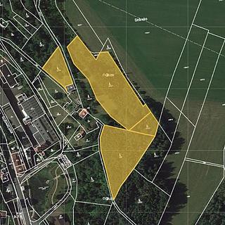 Prodej lesa 15134 m&sup2; Stružinec