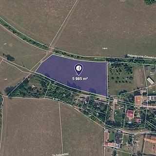 Prodej zemědělské půdy 5985 m&sup2; Nové Sedlo