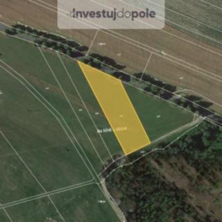 Prodej zemědělské půdy 3874 m&sup2; Lipová