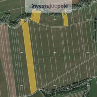 Prodej zemědělské půdy 13643 m&sup2; Police