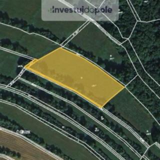 Prodej louky 2257 m&sup2; Pavlíkov