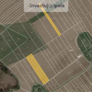 Prodej zemědělské půdy 8074 m&sup2; Ostrov u Macochy