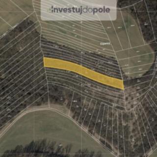 Prodej louky 2864 m&sup2; Cetechovice