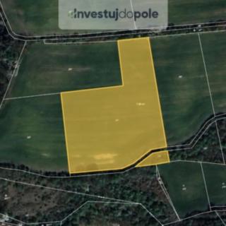 Prodej zemědělské půdy 2430 m&sup2; Dobříč