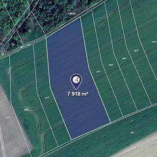 Prodej zemědělské půdy 7918 m&sup2; Hřebečníky