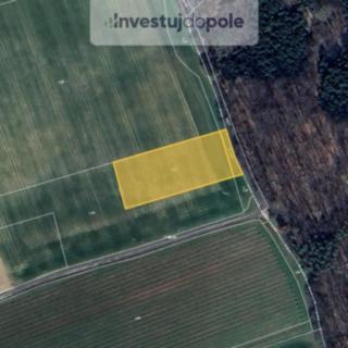 Prodej zemědělské půdy 1 787 m² Štíhlice