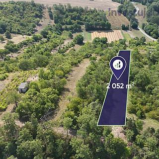 Prodej zahrady 2052 m&sup2; Kobeřice u Brna