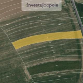 Prodej zemědělské půdy 7280 m&sup2; Říčany