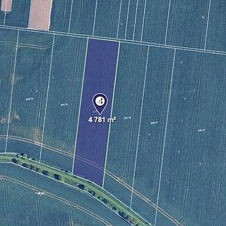 Prodej zemědělské půdy 4781 m&sup2; Kobylnice
