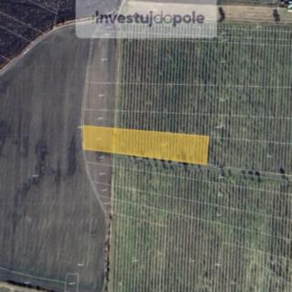 Prodej zemědělské půdy 6302 m&sup2; Liběšice