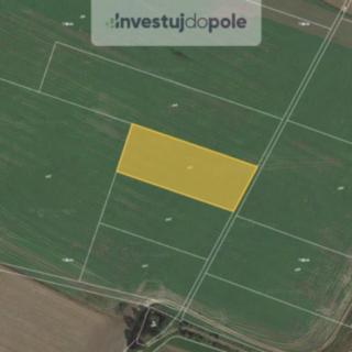 Prodej zemědělské půdy 4 497 m² Horní Lukavice