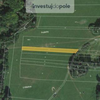 Prodej zemědělské půdy 1 785 m² Neurazy Nová Ves u Nepomuka