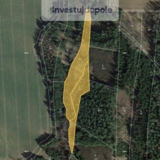 Prodej ostatních pozemků 6561 m&sup2; Hlasivo