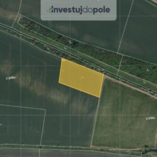 Prodej podílu zemědělské půdy 1990 m² Kropáčova Vrutice