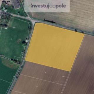 Prodej zemědělské půdy 7256 m&sup2; Podhradí