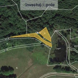 Prodej louky 1766 m&sup2; Přimda