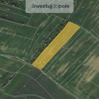 Prodej zemědělské půdy 8074 m&sup2; Pavlice