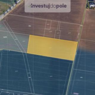 Prodej zemědělské půdy 12960 m&sup2; Moravany