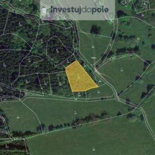 Prodej lesa 1 989 m² Horní Branná Valteřice