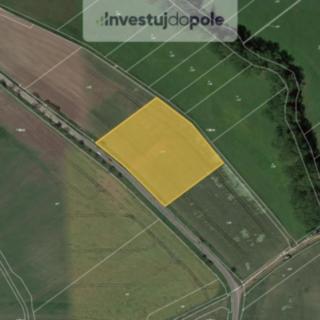 Prodej zemědělské půdy 3428 m&sup2; Smidary