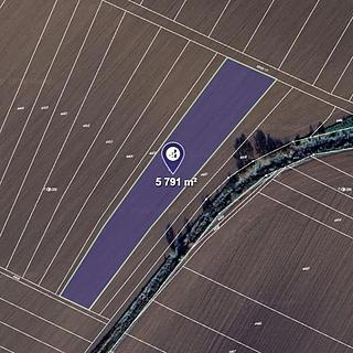 Prodej zemědělské půdy 2896 m&sup2; Ostrožská Nová Ves