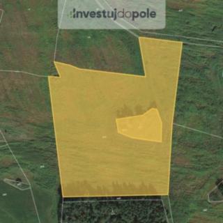 Prodej zemědělské půdy 30 681 m² Svéradice