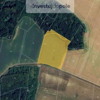 Prodej louky 10 931 m² Vysoká