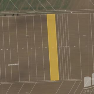 Prodej zemědělské půdy 1274 m&sup2; Pavlovice u Kojetína