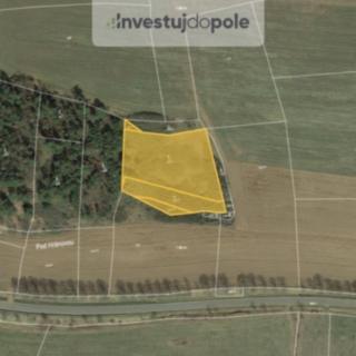 Prodej lesa 4837 m² Čepřovice